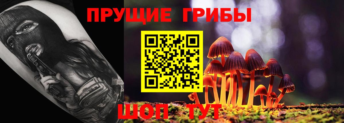 Галлюциногенные грибы Magic Shrooms Мичуринск
